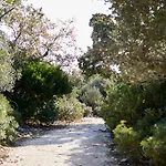 Masseria Grieco Frühstückspension Ostuni