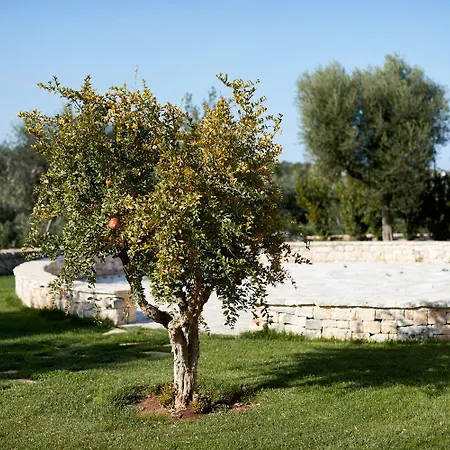 Masseria Grieco Bed and Breakfast 4*