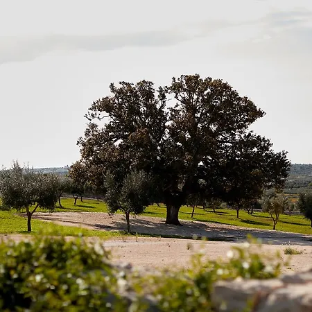 Masseria Grieco 4* 오스투니