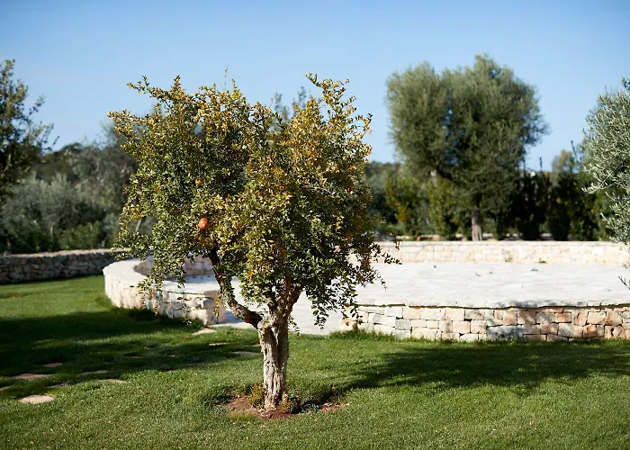 Masseria Grieco Alojamento de Acomodação e Pequeno-almoço 4*