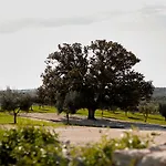 Masseria Grieco 4* 오스투니