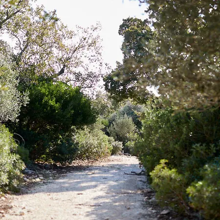 Masseria Grieco Frühstückspension Ostuni