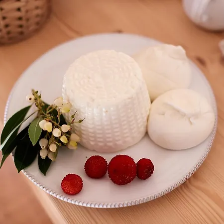 Bed & Breakfast Masseria Grieco