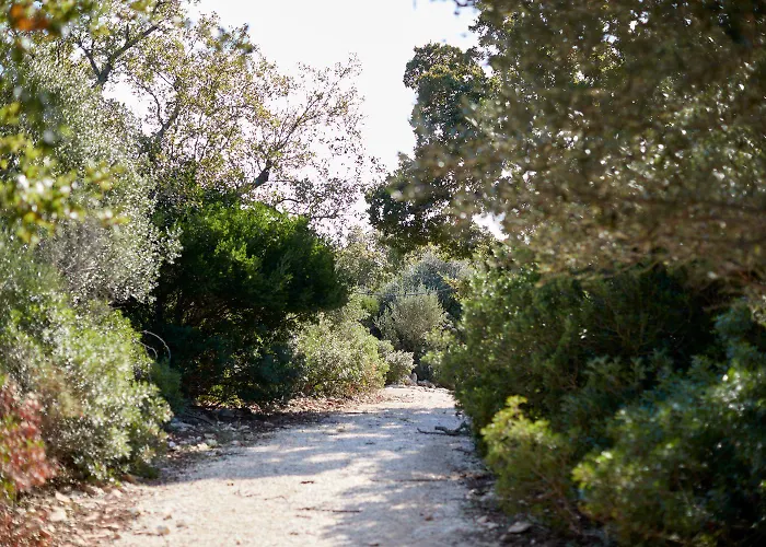 Masseria Grieco Bed & Breakfast Ostuni