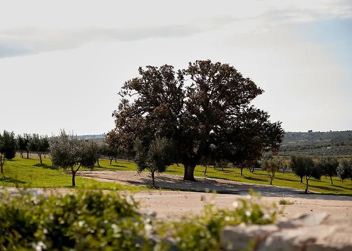 Masseria Grieco 4* אוסטוני